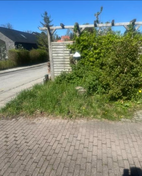 Overgroet bed med busk og græs før stubfræsning